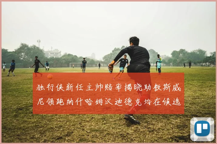 独行侠新任主帅赔率揭晓助教斯威尼领跑纳什哈姆汉迪德克均在候选之中