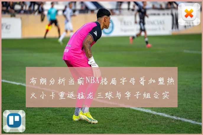 布朗分析当前NBA格局字母哥加盟热火小卡重返猛龙三球与华子组合实力强劲