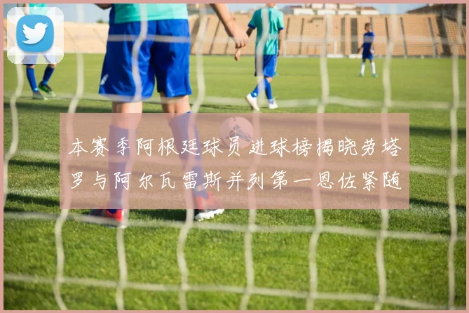 本赛季阿根廷球员进球榜揭晓劳塔罗与阿尔瓦雷斯并列第一恩佐紧随其后
